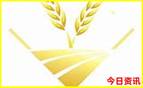 夏天适合去度假的地方